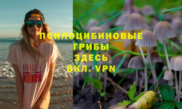 гидра Балабаново