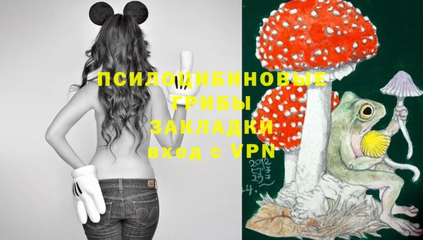 ECSTASY Балахна