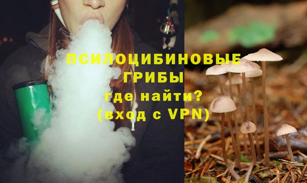 ECSTASY Балахна